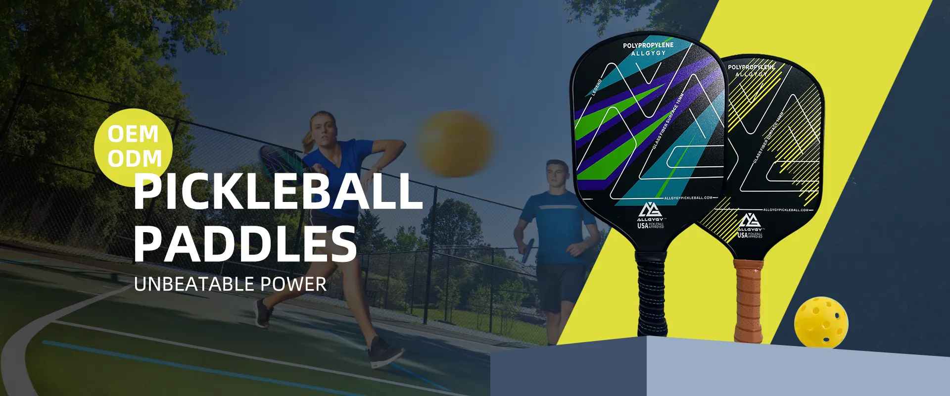 Fournisseur de filet de pickleball